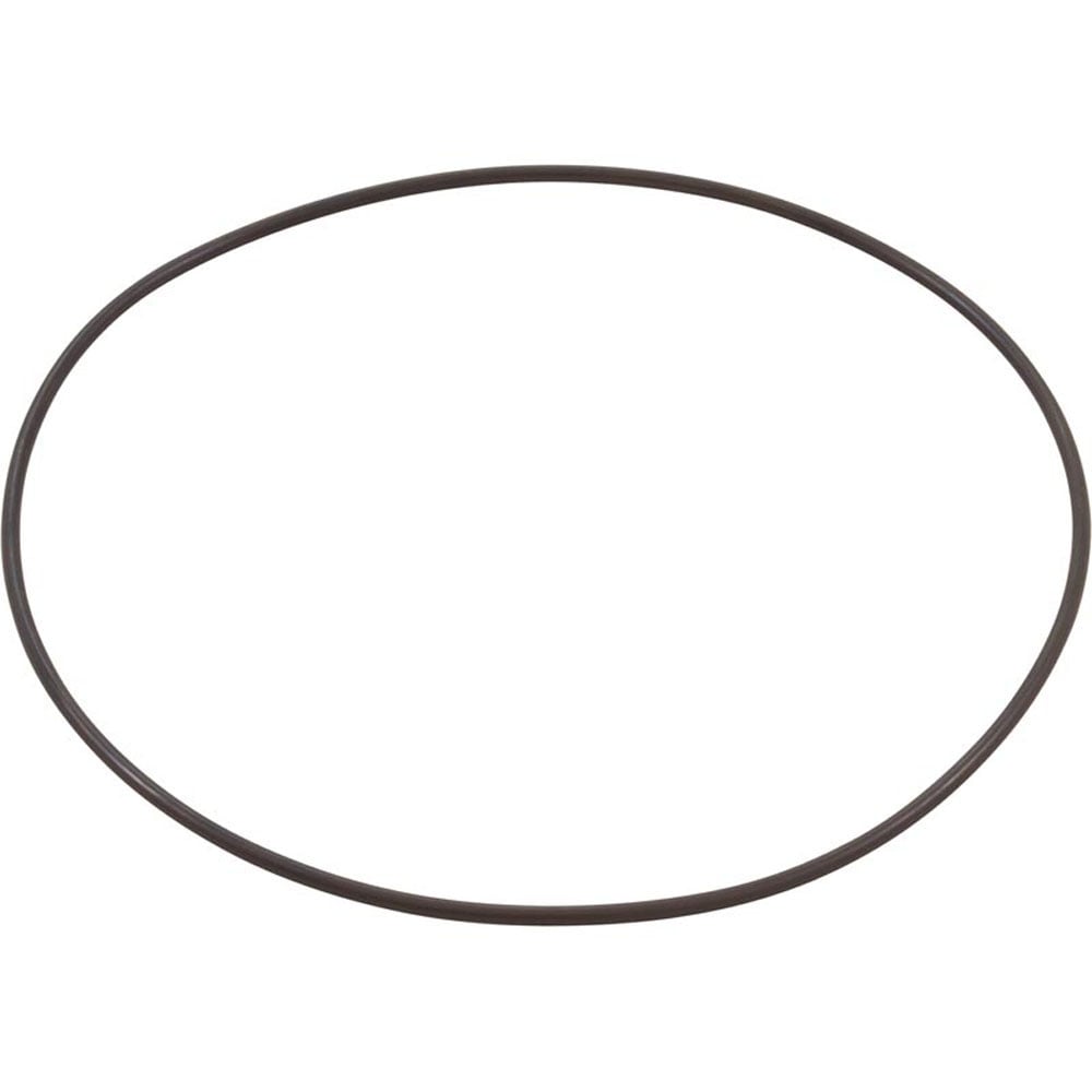 O-Ring for WaterWay Executive 48/56 Wet End Questions & Answers