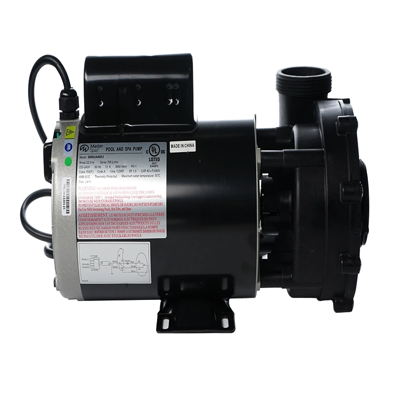 12 Amp, 1 Speed, LX 230 Volt Pump Questions & Answers