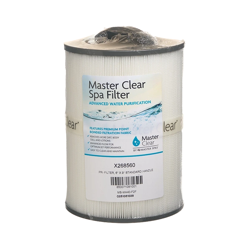 How long should swim spa filters last?